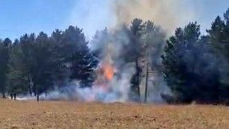 sarikamista orman yangini yFElPJNt.jpg