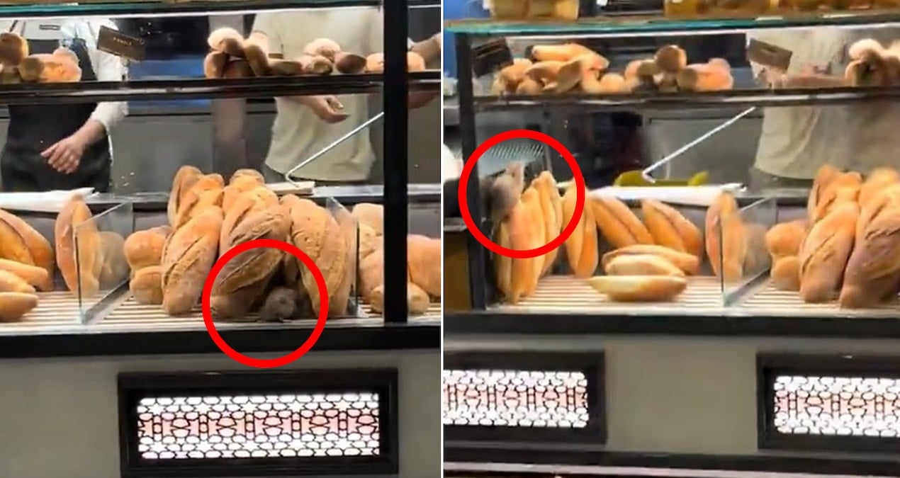 firinda cekilen bu goruntuyu paylasmamasi icin 420 bin lira teklif edildi YgV2lmr6.jpg