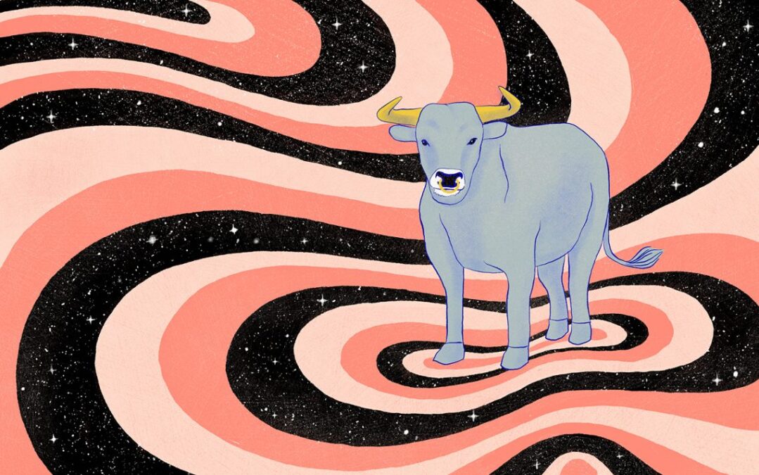 Boğa burcu haftalık yorum